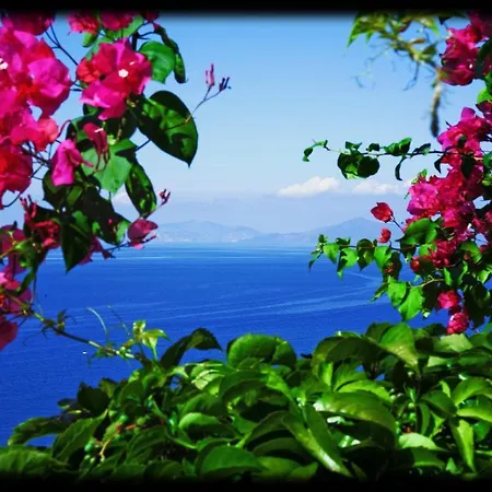 Corallo Calava Hotel